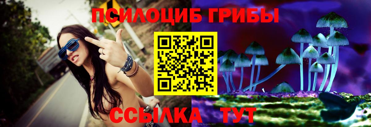 Галлюциногенные грибы прущие грибы  Псилоцибиновые грибы Psilocybine cubensis  Карпинск  Вход с VPN 